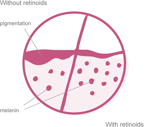 Pie chart showing four segments: 60% largest, 24% second, 12% third, and 4% smallest.